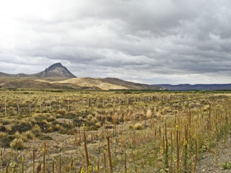 49.Argentinische Pampa